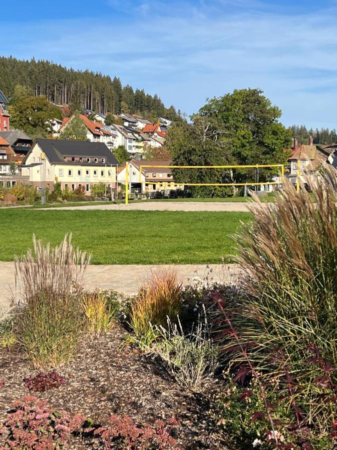 Apartment Annis Panoramablick Pool Sauna Tennis Schonach im Schwarzwald Kültér fotó